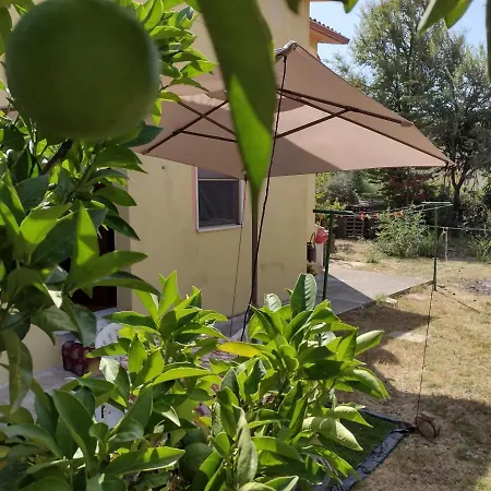 Sa Domu De Peppinu