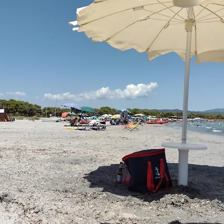 Sa Domu De Peppinu *